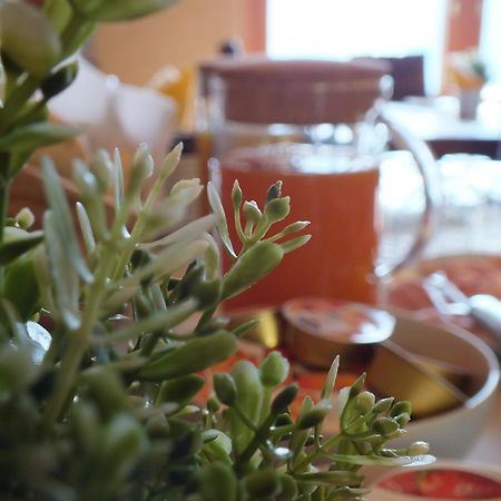 Garden View Bed & Breakfast Анфо Екстериор снимка
