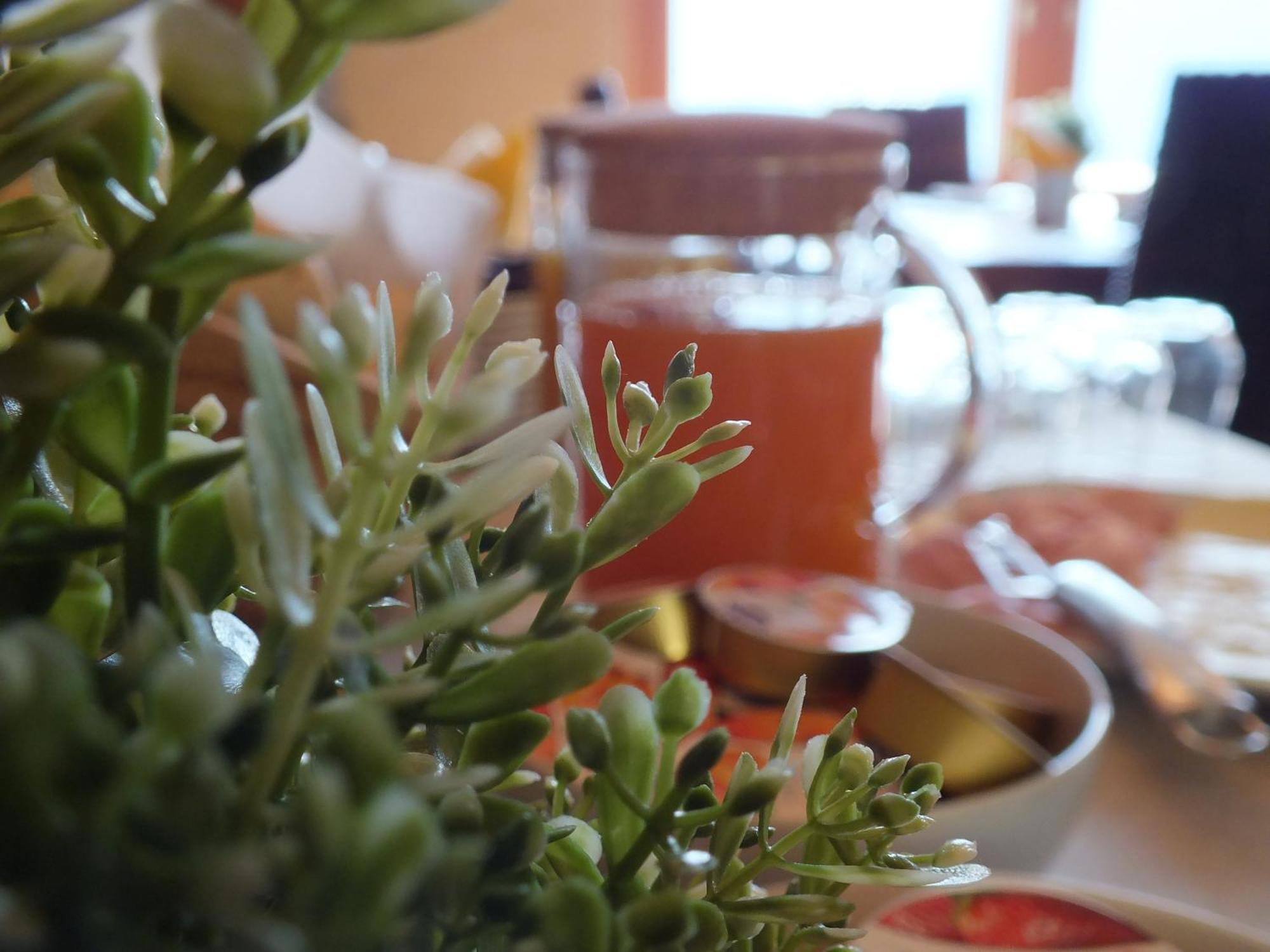 Garden View Bed & Breakfast Анфо Екстериор снимка